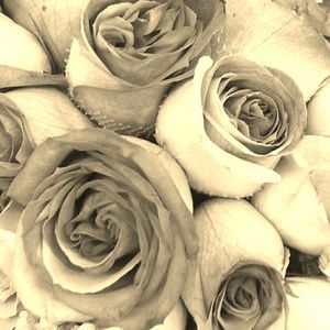 Meet your Posher, Maureen